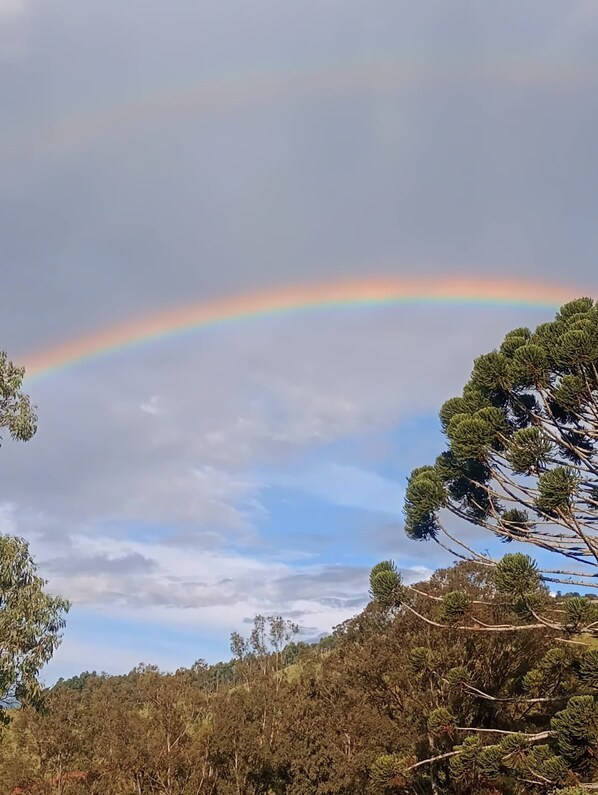 A natural landscape with a rainbow, trees, and a hilly terrain.