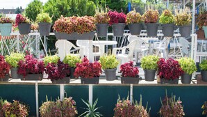 A balcony with potted plants and white outdoor furniture.