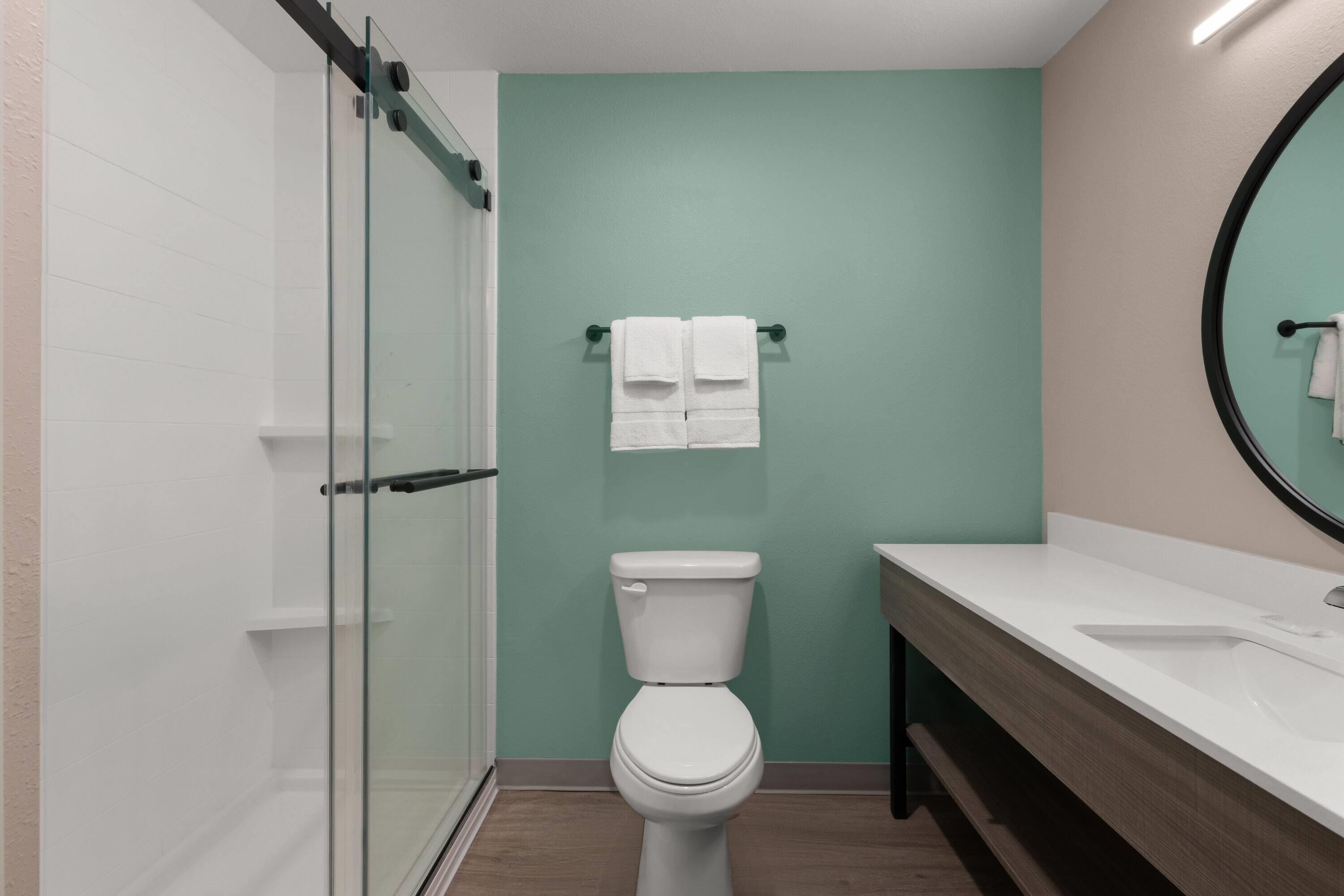 A modern bathroom with a glass shower enclosure, a white toilet, and a vanity with a mirror.