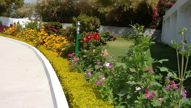 A landscaped garden with a curved pathway, various flowering plants, and a stone wall.