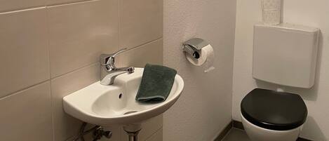 A bathroom with a sink, toilet, and a towel.