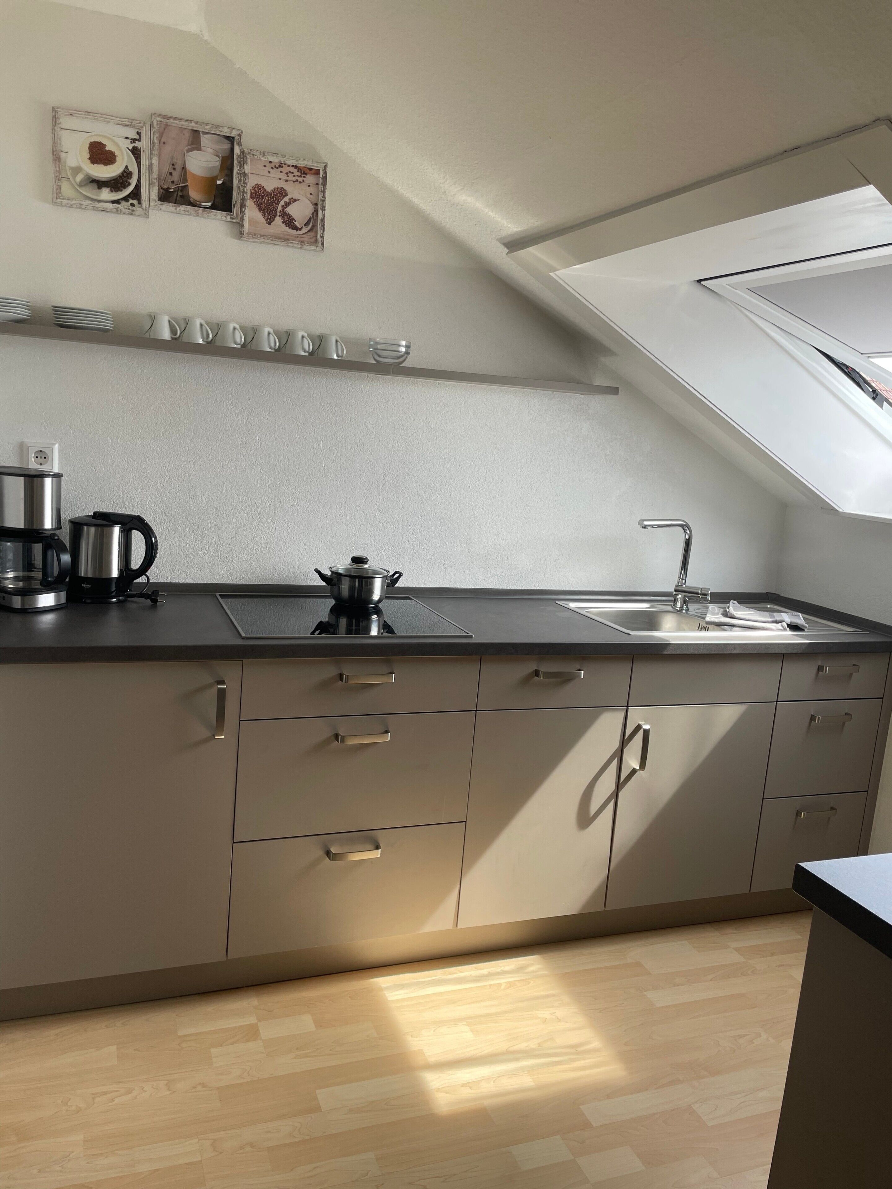 Kühlschrank, Herdplatte, Geschirrspüler