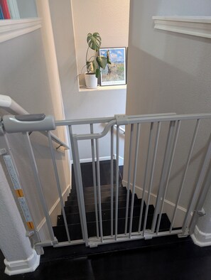 Interior - Kid-Ready Montessori Townhome near Pioneer farms - 15m to downtown Austin (Austin)
