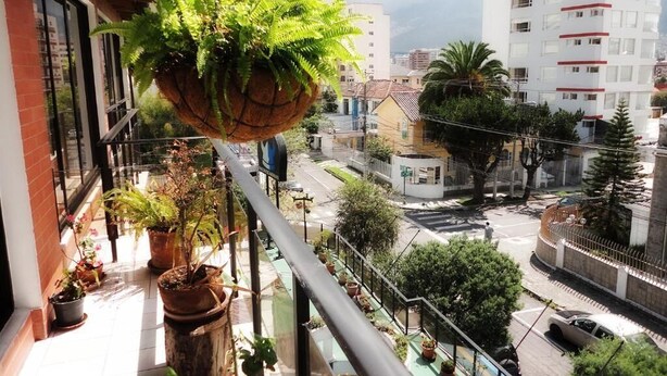 Un balcón con plantas colgantes, macetas en el suelo y vistas de un paisaje urbano con edificios y una carretera.