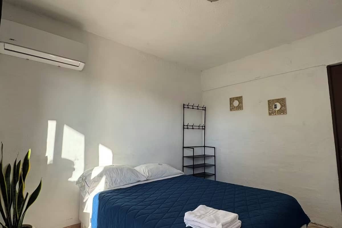 Un dormitorio con una cama, aire acondicionado de pared, una planta y una alfombra estampada.