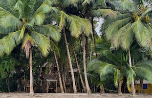 A tropical setting with palm trees, a wooden structure, and a yellow building. - Great Green Wing Oceanfront Jungle Treehouse (Bocas del Toro Province)