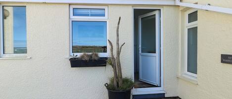 A building with a white exterior, a window with a view, a door, and a potted plant.