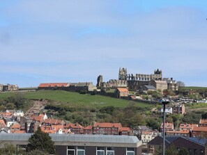 Un château historique perché sur une colline, entouré de bâtiments résidentiels.