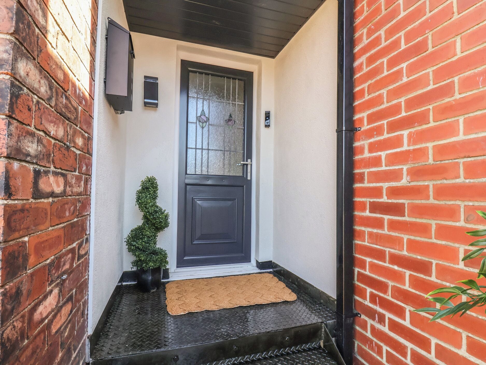A black door with a glass panel, a small potted plant, and a doormat.