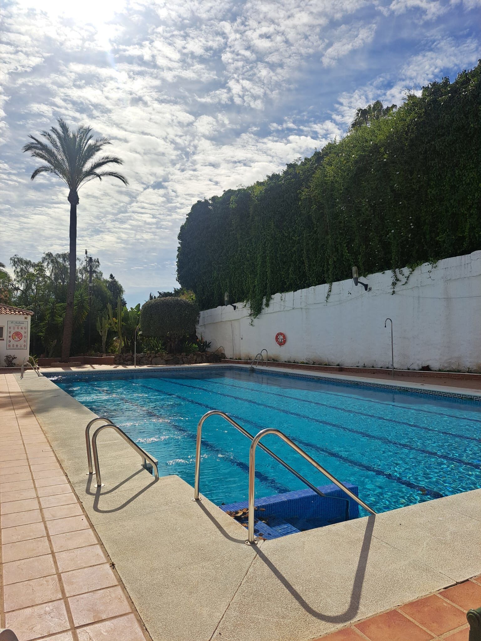 A swimming pool with a tiled deck, metal handrails, and a white wall with greenery.