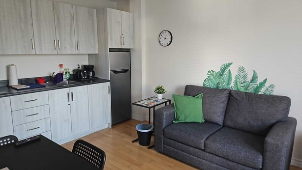 Een ruimtelijk ingerichte leefruimte met een kitchenette, een bank met groene kussens, een klein tafeltje met een plant en een wandklok.