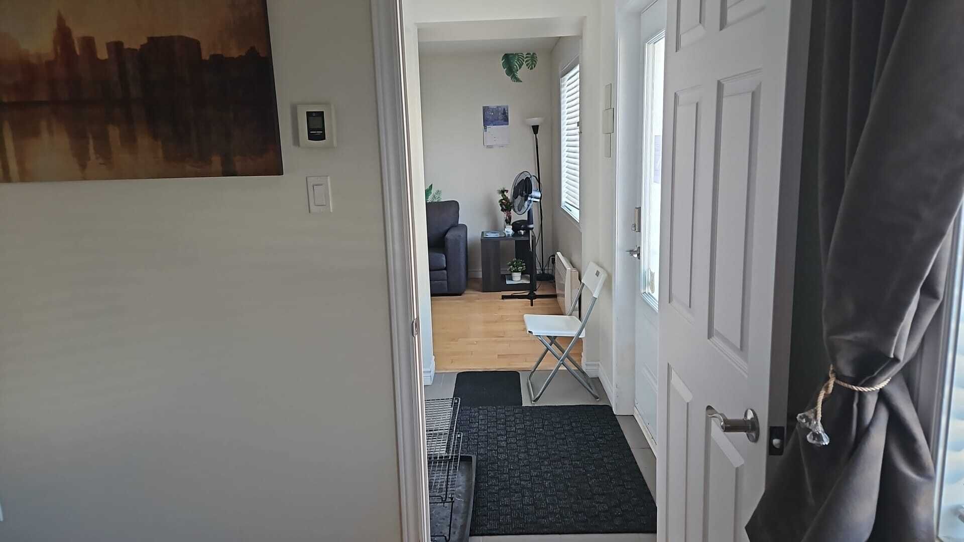 Un couloir avec une porte, une petite table, une chaise, un radiateur et une plante.