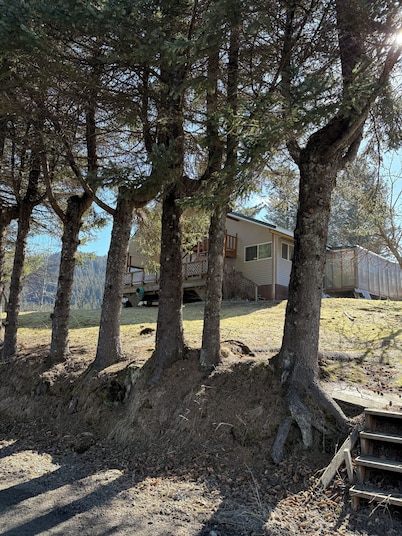 The Bird's Nest Studio Apt! Second floor, studio apartment in Seldovia, AK