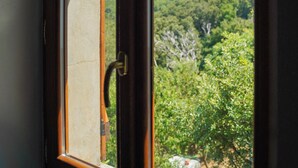 A window with a view of a green landscape.