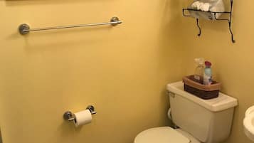 Hair dryer, towels, soap, toilet paper
