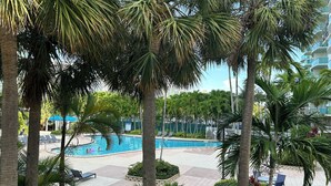 En swimmingpool omgivet af palmer og liggestole, med udsigt til en moderne bygning i baggrunden.