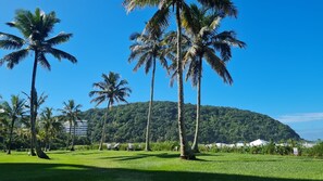 Property grounds - @cyclinn.natureza | All Time 88 T2 (100m praia) (Riviera de São Lourenço)