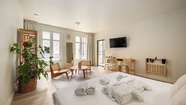 A hotel room with a bed, two chairs, a desk, a TV, and a large potted plant.