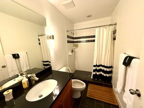 Ein Badezimmer mit Waschbecken, Spiegel, Toilette, Dusche und Handtuchhalter.