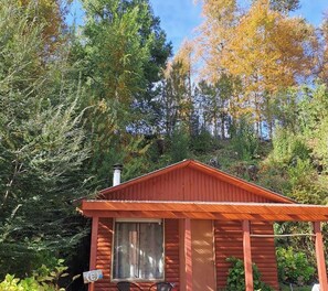 Exterior - Cabins between Villarrica-Pucón (Araucanía)