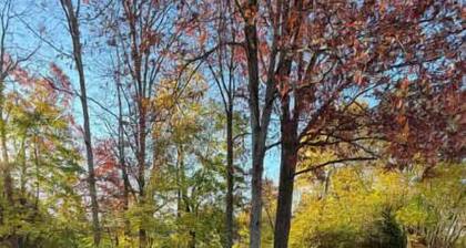 PSU 2br 2ba Townhome w Parking Near Campus Stadium