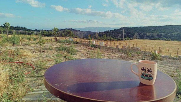 A table with a mug, a view of a vineyard, and distant hills.