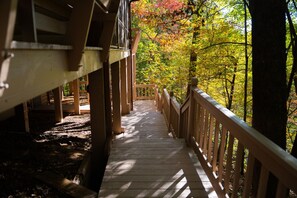 Property grounds - Black Stag Lodge | A Rustic Reprieve (Blue Ridge)