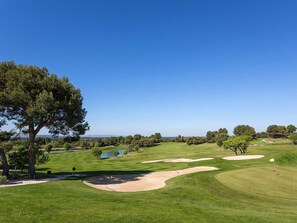 Ein Golfplatz mit Sandbunkern, einer Fahne und einem großen Baum.