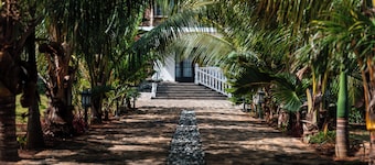private property with big garden, swimming pool. 10 minutes walk to the beach.