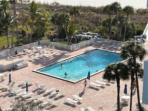 Ein rechteckiger Pool mit Liegestühlen und Sonnenschirmen, umgeben von Palmen und einem weißen Zaun.