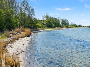 Beach - "Hjort" - 80m from the sea by Interhome (Faaborg)