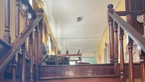 A wooden staircase with a handrail, leading to a landing with a small table and decorative items. - Arlington Apartments (Georgetown)