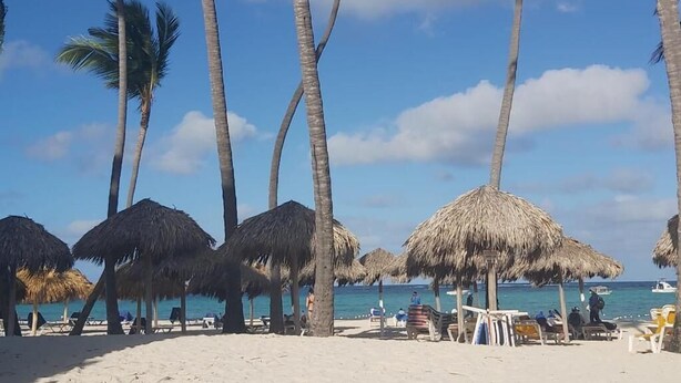 A beach with palm trees and thatched umbrellas. - Sol Caribe Beach (Punta Cana)
