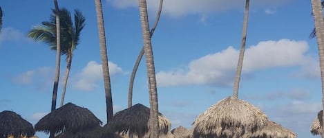 Playa