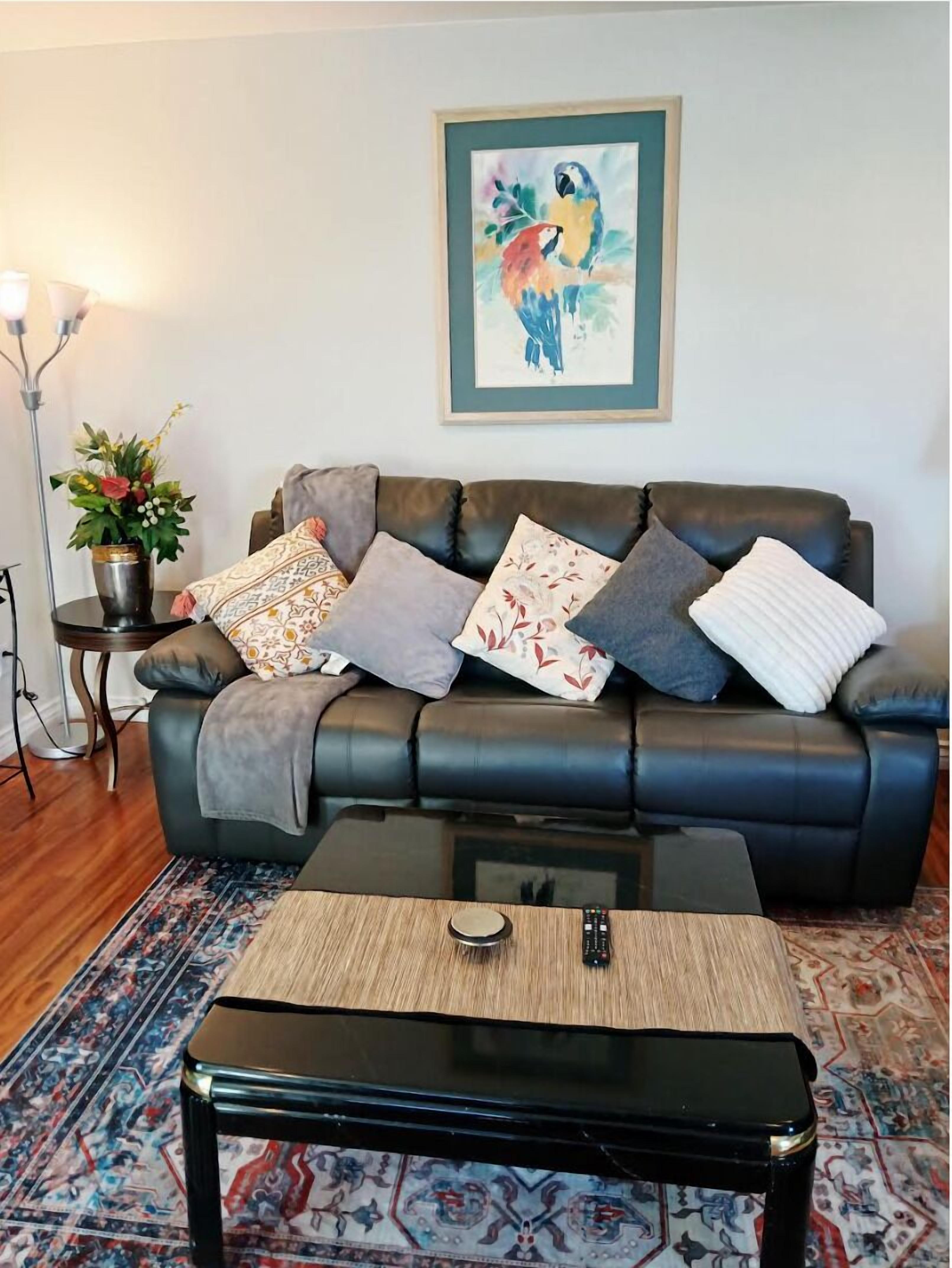 A living room with a black leather sofa, a coffee table, a framed painting, and a potted plant.