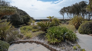 Un giardino con diverse piante e un sentiero che conduce a una vista sul mare.