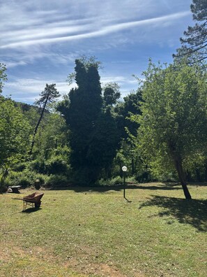 Property grounds - Guest-House FourWinds, home in relaxation in Tuscany (Toscana)