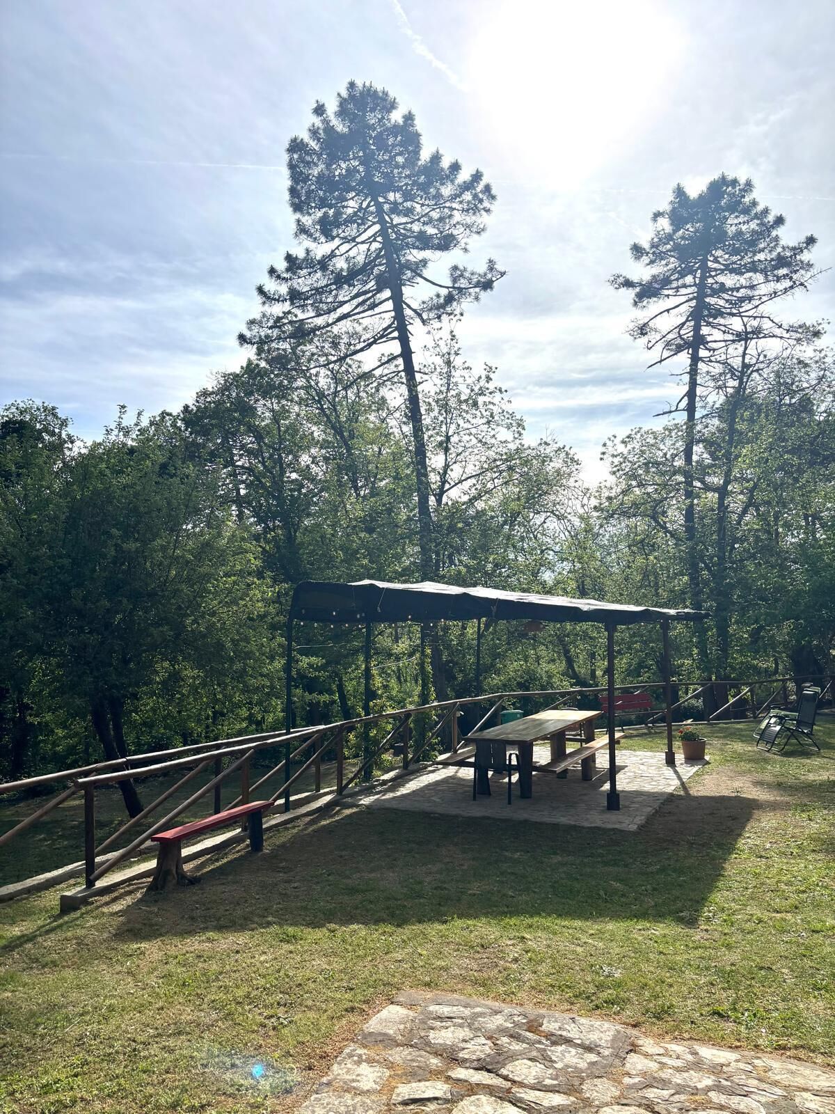 Ein überdachter Picknickbereich mit Tisch und Bänken, umgeben von Bäumen.