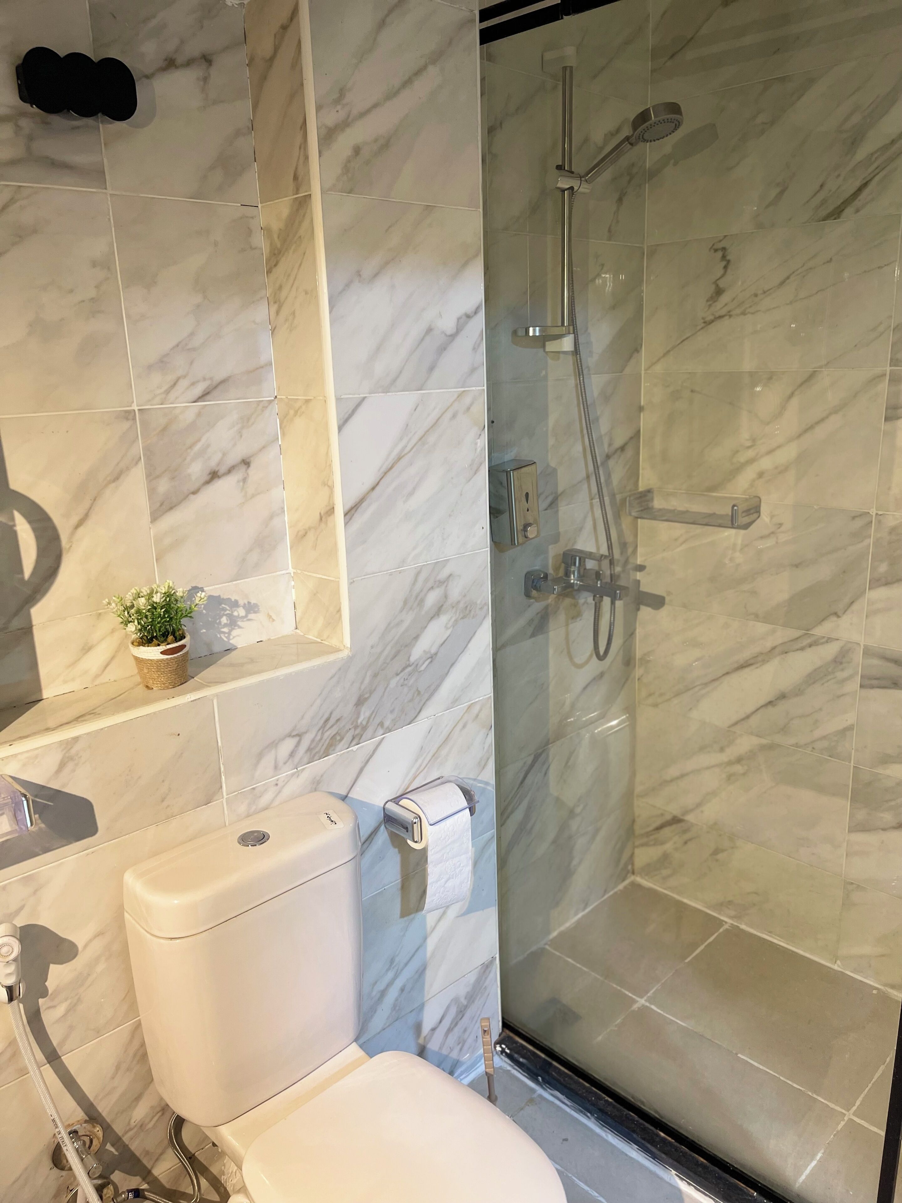 A bathroom with a toilet, a shower with a glass door, and a small potted plant on the wall.