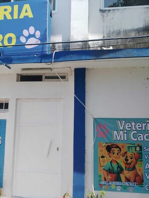 Exterior detail - Rinconcito Veracruzano (Veracruz)