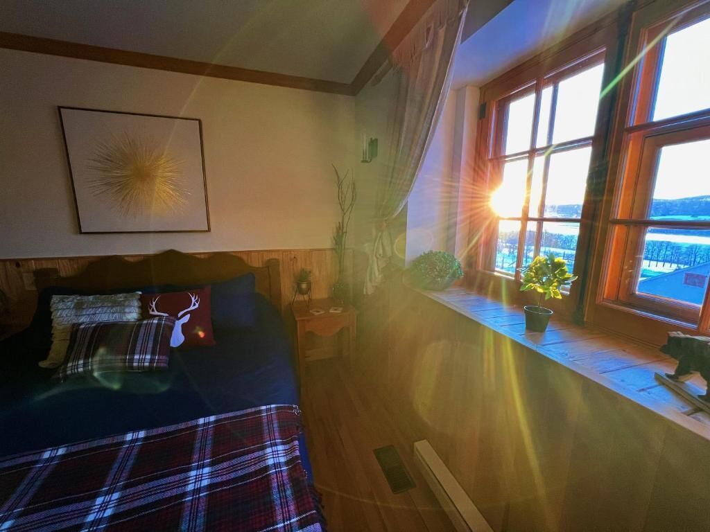 Et værelse med en seng, et vindue med udsigt, et billede i ramme på væggen og en plante på vindueskarmen.