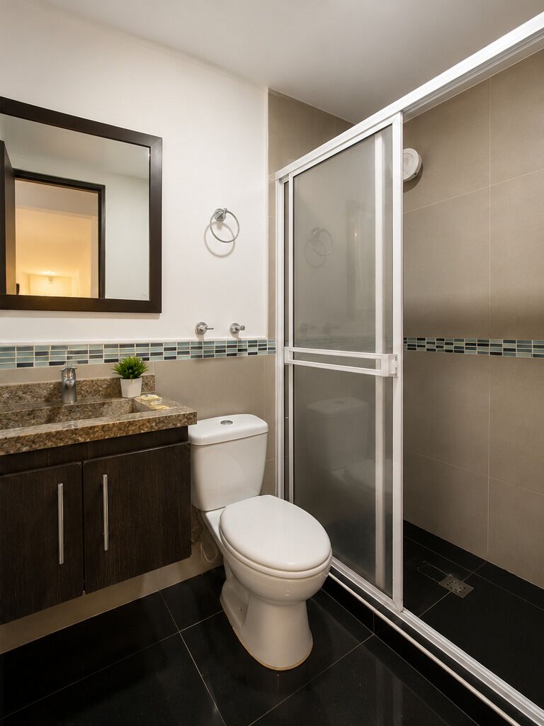 A bathroom with a toilet, a shower enclosure, a sink with a mirror, and a small plant on the countertop.