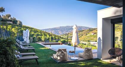 The gateway to the magnificent Douro Valley. High-value wine tourism!