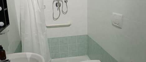 Shower, hair dryer, bidet, towels