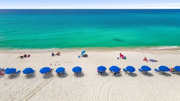 Une plage bordée de rangées de parasols bleus et de chaises longues.