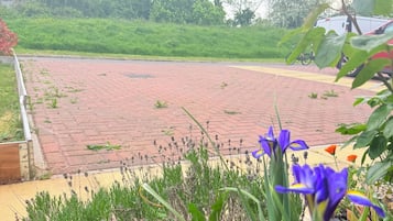 Zona jardí pavimentada amb diverses plantes i flors, incloent iris de color morat.