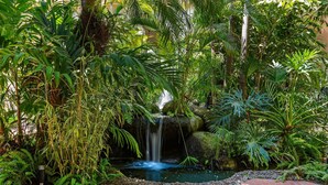 A garden with a waterfall, dense foliage, and a brick pathway. - Velas Resort Access Beachfront 3BR Condo (Puerto Vallarta)