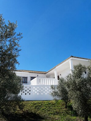 Exterior - EL OLIVAR FARM (Las Cuevas)