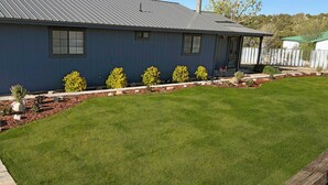 A residential building with a metal roof, a well-maintained lawn, and a row of small trees. - Large Home, Sleeps 13, Hot Tub, Starlink, Air Conditioning (Eagar)