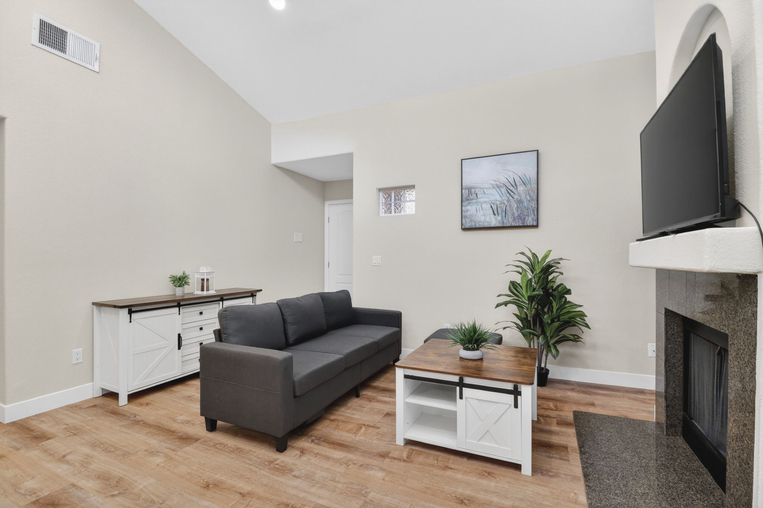 Una sala de estar con sofá, una mesa de centro, televisor, chimenea y una planta pequeña.